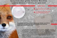 Plakat informujący o szczepieniu lisów przeciwko wściekliźnie w województwie Łódzkim