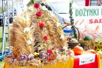 Fotogaleria z XXVI Dożynek Powiatowych 2024 w Sadkowicach - Foto_0023