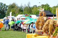 Fotogaleria z XXVI Dożynek Powiatowych 2024 w Sadkowicach - Foto_0029