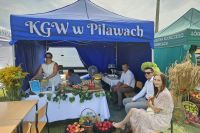 Fotogaleria z XXVI Dożynek Powiatowych 2024 w Sadkowicach - Foto_0251
