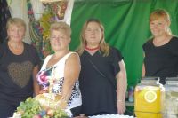 Fotogaleria z XXVI Dożynek Powiatowych 2024 w Sadkowicach - Foto_0287