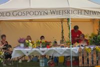 Fotogaleria z XXVI Dożynek Powiatowych 2024 w Sadkowicach - Foto_0325