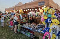 Fotogaleria z XXVI Dożynek Powiatowych 2024 w Sadkowicach - Foto_0350