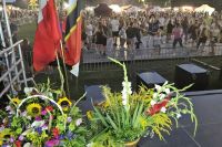 Fotogaleria z XXVI Dożynek Powiatowych 2024 w Sadkowicach - Foto_0381