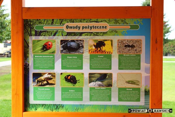 Fotogaleria - Utworzenie Punktu Dydaktycznego w Zespole Placówek Specjalnych w Rawie Maz - Foto_0022
