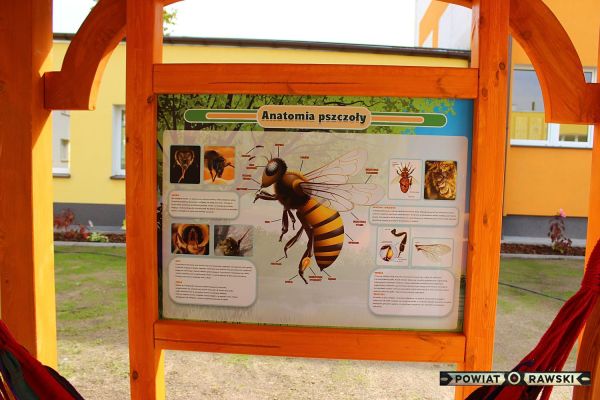 Fotogaleria - Utworzenie Punktu Dydaktycznego w Zespole Placówek Specjalnych w Rawie Maz - Foto_0025