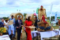 Galeria z XXVII Dożynek Powiatowych - foto_0233