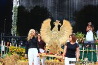 Galeria z XXVII Dożynek Powiatowych - foto_0236