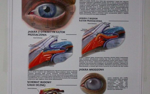 Fotogaleria - Otwarcie nowego pawilonu szpitala Św. Ducha w Rawie Mazowieckiej - Foto_0004