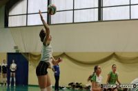 Turniej Piłki Siatkowej Juniorek O „Puchar Przewodniczącego Rady Powiatu Rawskiego” - foto_139