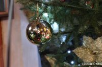 Fotogaleria XIX Powiatowy Przegląd Kolęd i Pastorałek – Sadkowicefoto_155