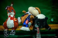 Fotogaleria Komunikat Końcowy Xxvi Ogólnopolskiego Turnieju Piłki Siatkowej Juniorek O „Puchar Przewodniczącego Rady...