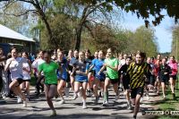 Fotogaleria - Mistrzostw Powiatu Rawskiego zrzeszenia LZS w indywidualnych biegach przełajowych - Foto_0050