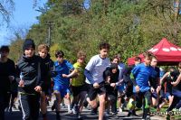 Fotogaleria - Mistrzostw Powiatu Rawskiego zrzeszenia LZS w indywidualnych biegach przełajowych - Foto_0087