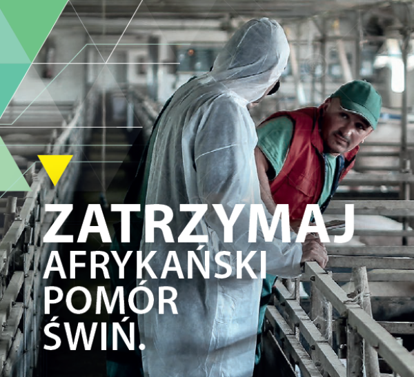 ŁÓDZKI URZĄD WOJEWÓDZKI W ŁODZI ogłoszenie w związku z stwierdzeniem ASFV