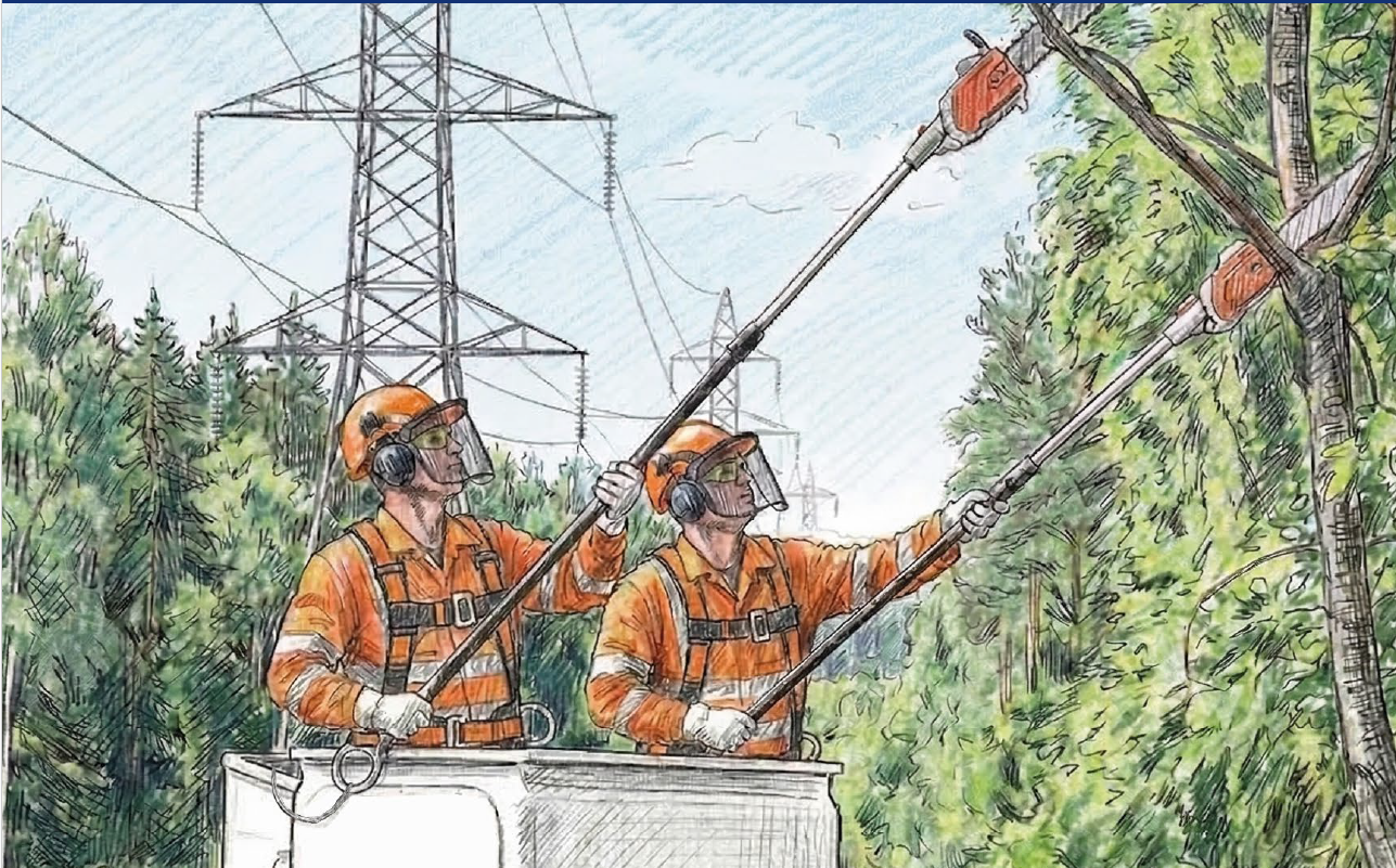 PGE poszukuje firm i wykonawców specjalizujących się w pracach wycinkowych w pobliżu linii elektroenergetycznych.